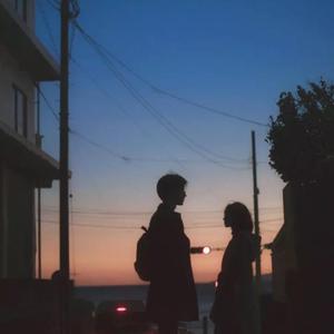 《李淑敏》小说全文阅读
