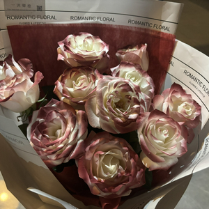 《李淑敏》小说全文阅读
